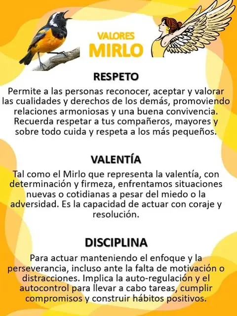Publicación de julio de 2025